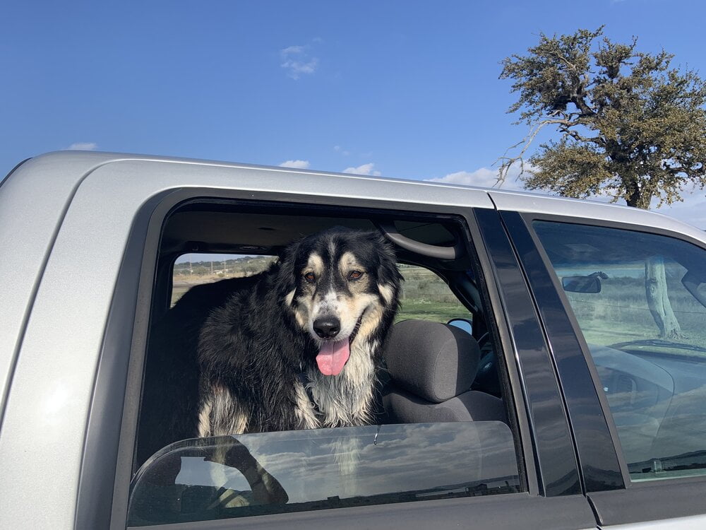 Feb. 9th- Trades this week- "Scalping" the Mega Caps and Sectors 2 IMG 4666