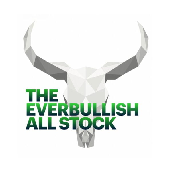 all stock portfolio